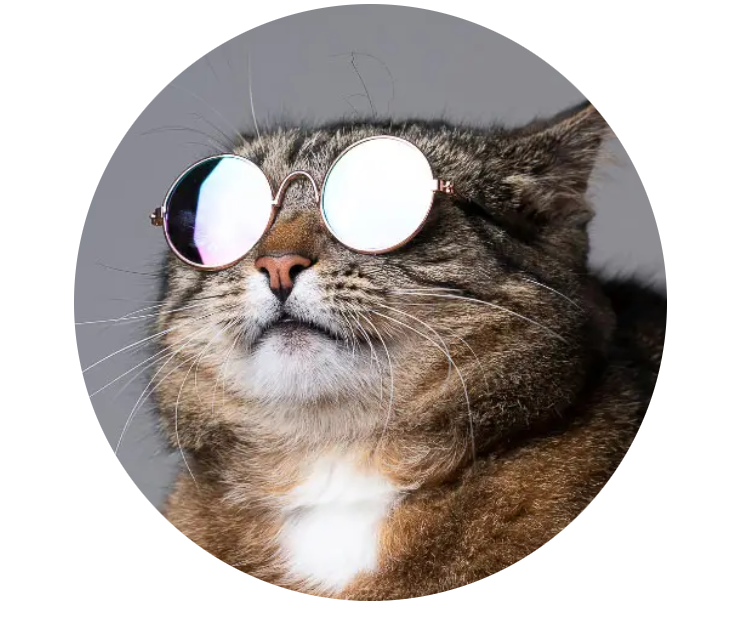 Ahmed's professional profile picture